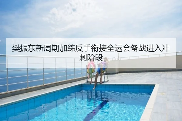 樊振东新周期加练反手衔接全运会备战进入冲刺阶段